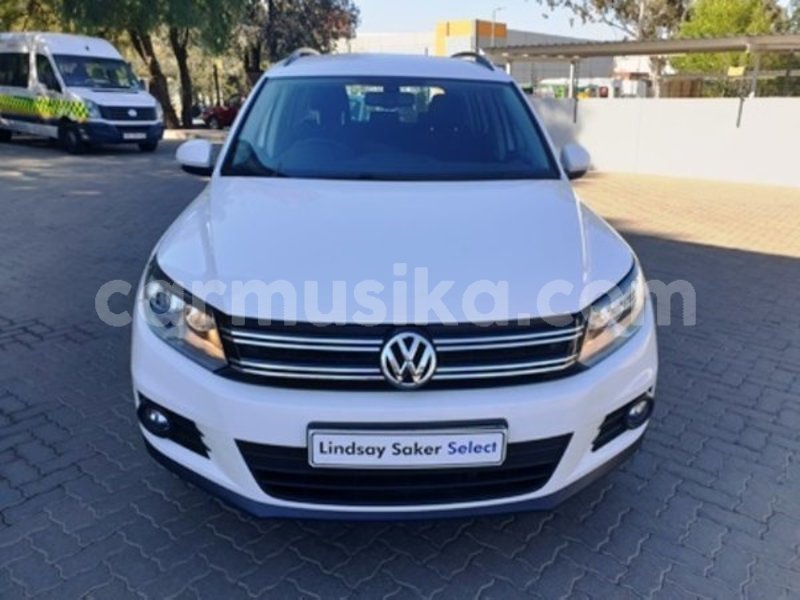 Big with watermark 2