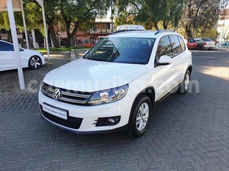 Big with watermark 3