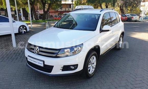Tenga Tsaru Volkswagen Tiguan Chena Mota in Beitbridge in Matabeleland South Tenga Tsaru Volkswagen Tiguan Chena Mota in Beitbridge in Matabeleland South