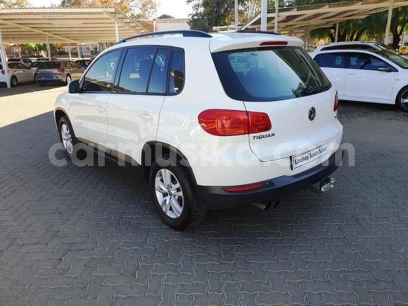 Big with watermark 4