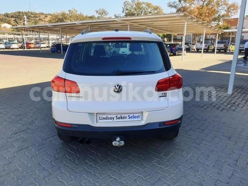 Big with watermark 5