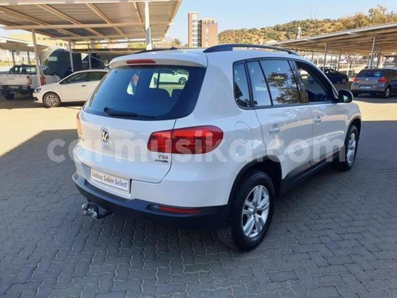 Big with watermark 6