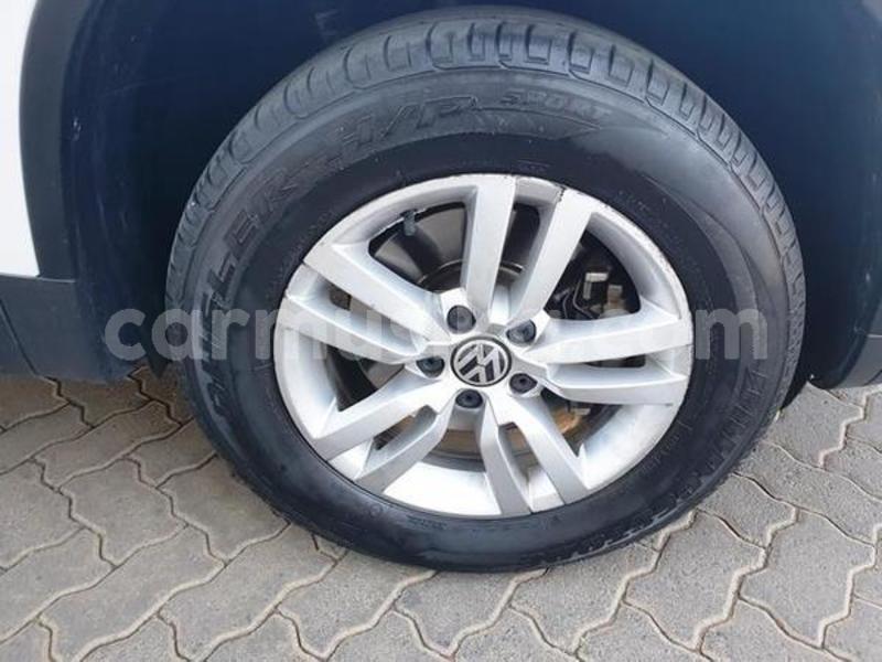 Big with watermark 7