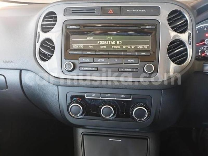 Big with watermark 8