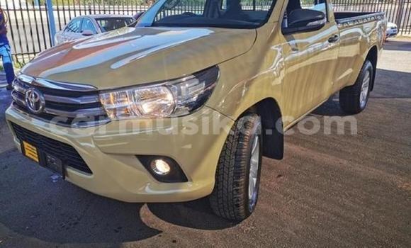 Tenga Tsaru Toyota Hilux Zvimwe Mota in Beitbridge in Matabeleland South Tenga Tsaru Toyota Hilux Zvimwe Mota in Beitbridge in Matabeleland South