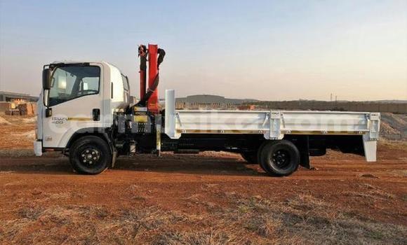 Buy Used Isuzu FTR 850 White Truck in Beitbridge in Matabeleland South Buy Used Isuzu FTR 850 White Truck in Beitbridge in Matabeleland South