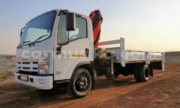 Buy Used Isuzu FTR 850 White Truck in Beitbridge in Matabeleland South Buy Used Isuzu FTR 850 White Truck in Beitbridge in Matabeleland South