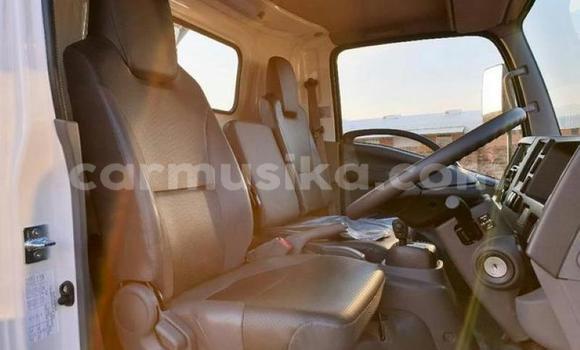 Buy Used Isuzu FTR 850 White Truck in Beitbridge in Matabeleland South Buy Used Isuzu FTR 850 White Truck in Beitbridge in Matabeleland South