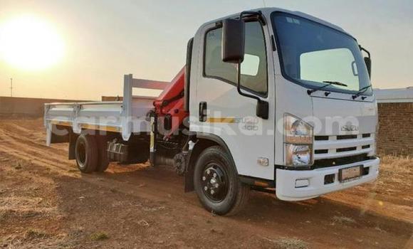 Buy Used Isuzu FTR 850 White Truck in Beitbridge in Matabeleland South Buy Used Isuzu FTR 850 White Truck in Beitbridge in Matabeleland South