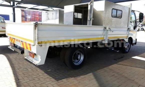 Tenga Tsaru Hino 300 Series Chena Rori in Harare in Harare Tenga Tsaru Hino 300 Series Chena Rori in Harare in Harare