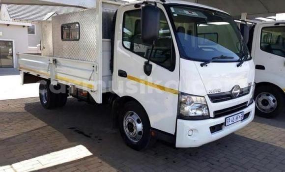 Tenga Tsaru Hino 300 Series Chena Rori in Harare in Harare Tenga Tsaru Hino 300 Series Chena Rori in Harare in Harare