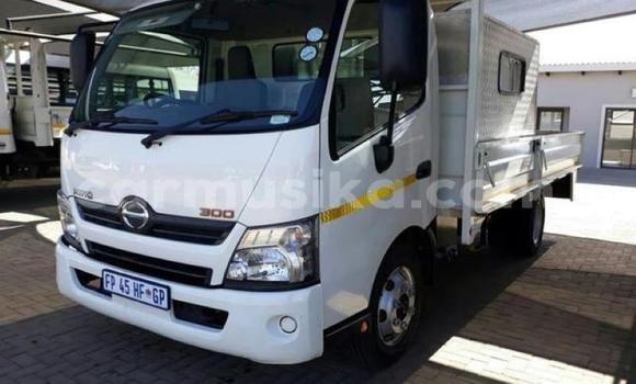 Tenga Tsaru Hino 300 Series Chena Rori in Harare in Harare Tenga Tsaru Hino 300 Series Chena Rori in Harare in Harare