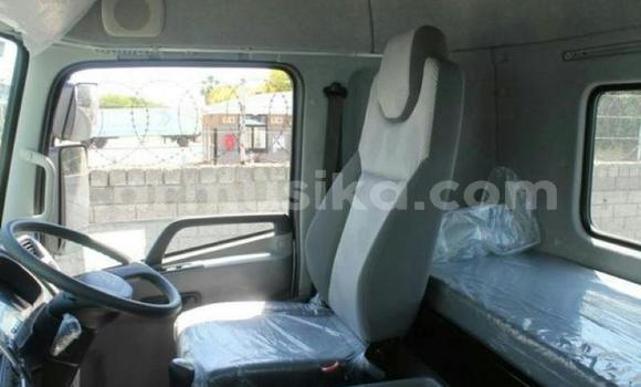 Tenga Tsaru Nissan UD Chena Rori in Beitbridge in Matabeleland South Tenga Tsaru Nissan UD Chena Rori in Beitbridge in Matabeleland South