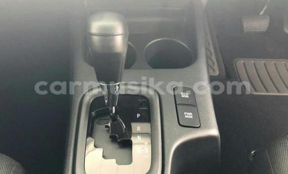 Tenga Tsaru Toyota Hilux Chena Mota in Harare in Harare Tenga Tsaru Toyota Hilux Chena Mota in Harare in Harare