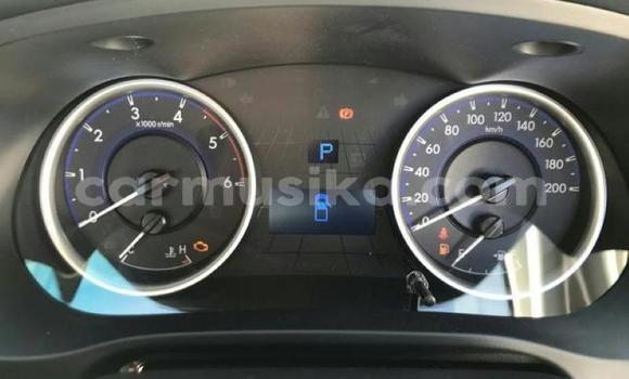 Tenga Tsaru Toyota Hilux Chena Mota in Harare in Harare Tenga Tsaru Toyota Hilux Chena Mota in Harare in Harare