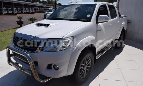 Tenga Tsaru Toyota Hilux Chena Mota in Beitbridge in Matabeleland South Tenga Tsaru Toyota Hilux Chena Mota in Beitbridge in Matabeleland South