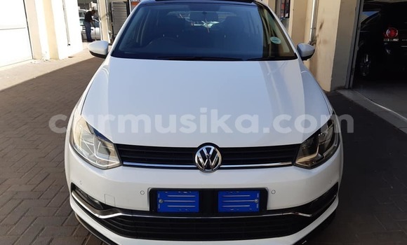 Buy Used Volkswagen Polo White Car in Beitbridge in Matabeleland South Buy Used Volkswagen Polo White Car in Beitbridge in Matabeleland South