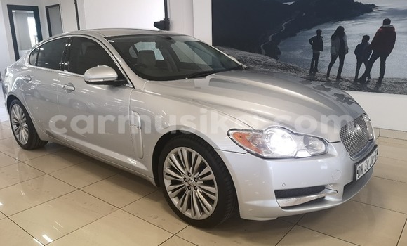 Nunua Ilio tumika Jaguar XF Nyingine Gari ndani ya Beitbridge nchini Matabeleland Kusini