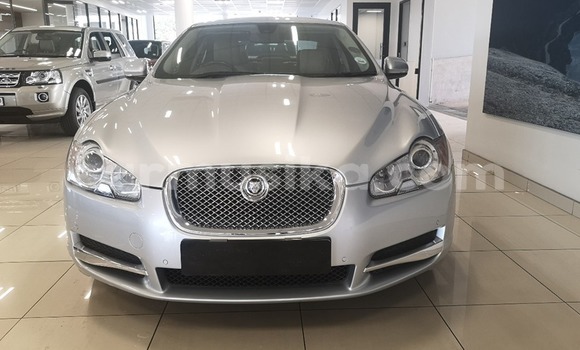 Tenga Tsaru Jaguar XF Zvimwe Mota in Beitbridge in Matabeleland South Tenga Tsaru Jaguar XF Zvimwe Mota in Beitbridge in Matabeleland South