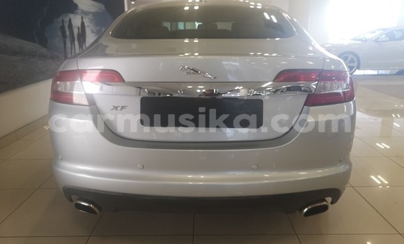 Tenga Tsaru Jaguar XF Zvimwe Mota in Beitbridge in Matabeleland South Tenga Tsaru Jaguar XF Zvimwe Mota in Beitbridge in Matabeleland South