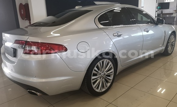 Tenga Tsaru Jaguar XF Zvimwe Mota in Beitbridge in Matabeleland South Tenga Tsaru Jaguar XF Zvimwe Mota in Beitbridge in Matabeleland South