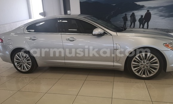 Tenga Tsaru Jaguar XF Zvimwe Mota in Beitbridge in Matabeleland South Tenga Tsaru Jaguar XF Zvimwe Mota in Beitbridge in Matabeleland South