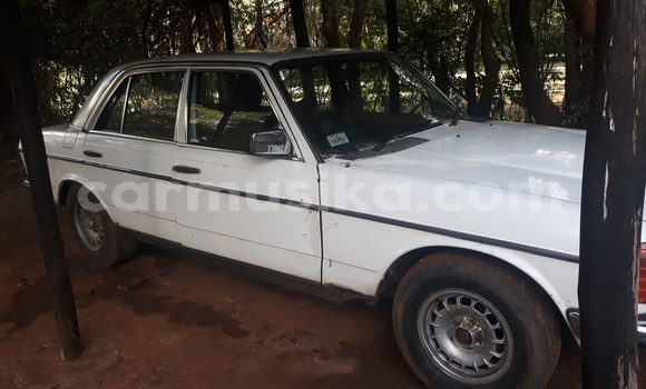 Buy Used Mercedes‒Benz 300CD White Car in Harare in Harare Buy Used Mercedes‒Benz 300CD White Car in Harare in Harare