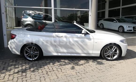 Tenga Tsaru BMW 2000 C/CS Chena Mota in Beitbridge in Matabeleland South Tenga Tsaru BMW 2000 C/CS Chena Mota in Beitbridge in Matabeleland South