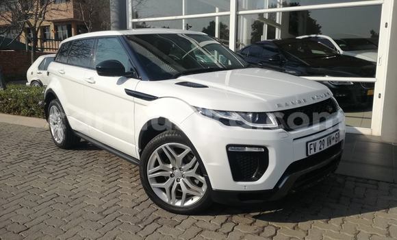 Buy Used Land Rover Range Rover Evoque White Car in Harare in Harare Buy Used Land Rover Range Rover Evoque White Car in Harare in Harare