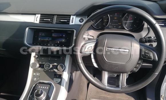 Buy Used Land Rover Range Rover Evoque White Car in Harare in Harare Buy Used Land Rover Range Rover Evoque White Car in Harare in Harare
