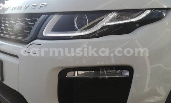 Buy Used Land Rover Range Rover Evoque White Car in Harare in Harare Buy Used Land Rover Range Rover Evoque White Car in Harare in Harare