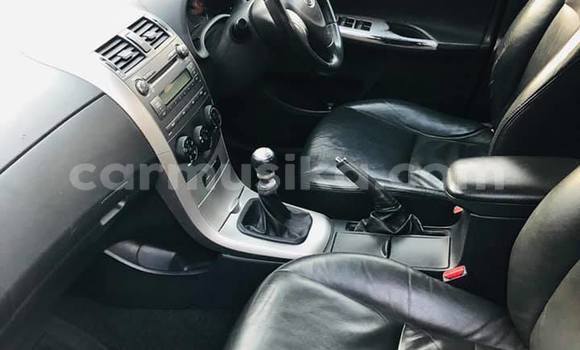 Tenga Tsaru Toyota Corolla Sirivha Mota in Harare in Harare Tenga Tsaru Toyota Corolla Sirivha Mota in Harare in Harare