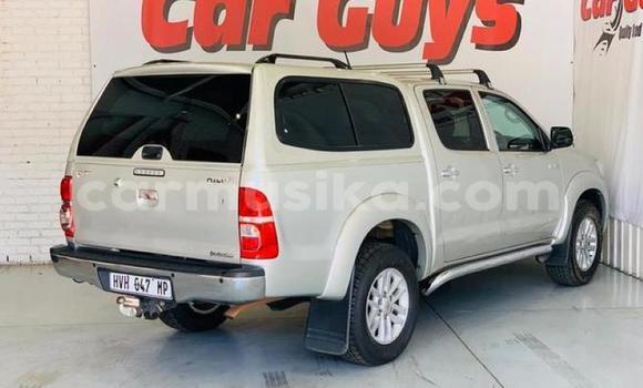 Acheter Occasion Voiture Toyota Hilux Gris à Harare, Harare Acheter Occasion Voiture Toyota Hilux Gris à Harare, Harare
