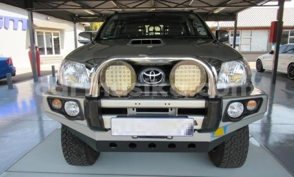 Buy Used Toyota Hilux Silver Car in Harare in Harare Buy Used Toyota Hilux Silver Car in Harare in Harare