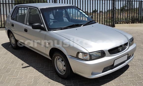 Tenga Tsaru Toyota Corolla Sirivha Mota in Beitbridge in Matabeleland South Tenga Tsaru Toyota Corolla Sirivha Mota in Beitbridge in Matabeleland South