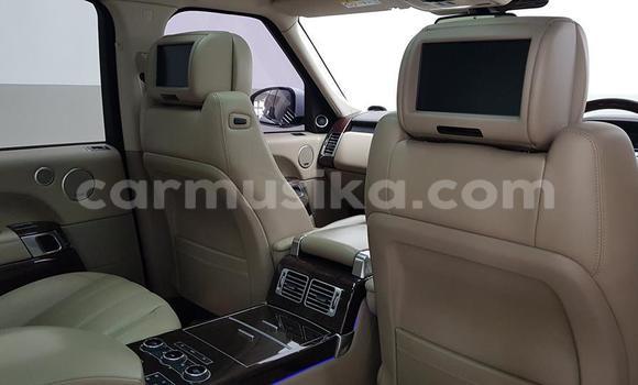 Tenga Tsaru Land Rover Range Rover Chena Mota in Harare in Harare Tenga Tsaru Land Rover Range Rover Chena Mota in Harare in Harare