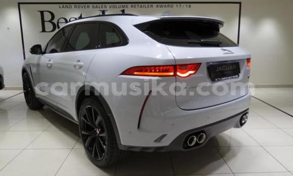 Acheter Occasion Voiture Jaguar F-Pace Gris à Beitbridge, Matabeleland South Acheter Occasion Voiture Jaguar F-Pace Gris à Beitbridge, Matabeleland South