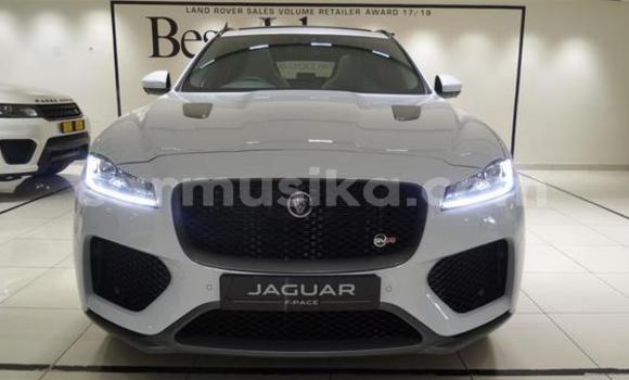 Acheter Occasion Voiture Jaguar F-Pace Gris à Beitbridge, Matabeleland South Acheter Occasion Voiture Jaguar F-Pace Gris à Beitbridge, Matabeleland South
