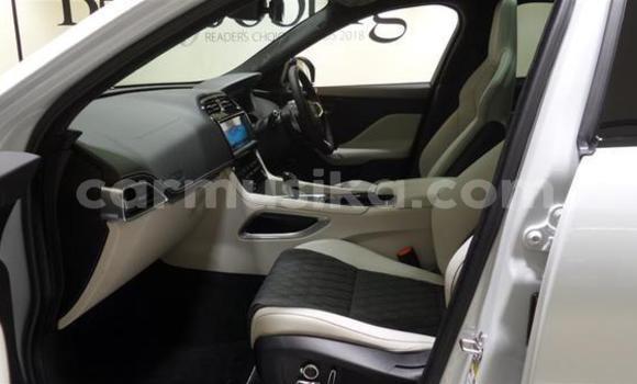 Acheter Occasion Voiture Jaguar F-Pace Gris à Beitbridge, Matabeleland South Acheter Occasion Voiture Jaguar F-Pace Gris à Beitbridge, Matabeleland South