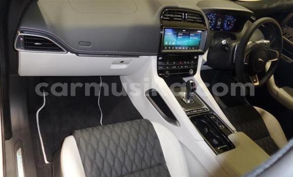 Acheter Occasion Voiture Jaguar F-Pace Gris à Beitbridge, Matabeleland South Acheter Occasion Voiture Jaguar F-Pace Gris à Beitbridge, Matabeleland South