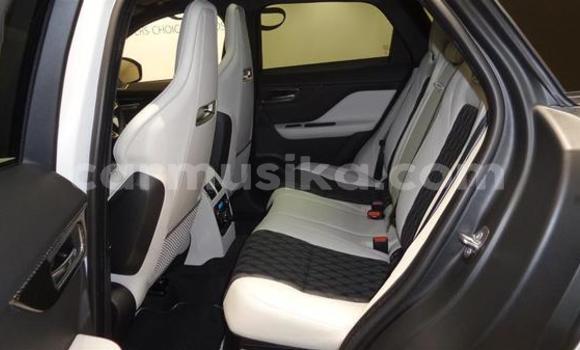 Acheter Occasion Voiture Jaguar F-Pace Gris à Beitbridge, Matabeleland South Acheter Occasion Voiture Jaguar F-Pace Gris à Beitbridge, Matabeleland South
