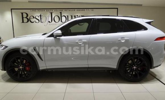 Acheter Occasion Voiture Jaguar F-Pace Gris à Beitbridge, Matabeleland South Acheter Occasion Voiture Jaguar F-Pace Gris à Beitbridge, Matabeleland South