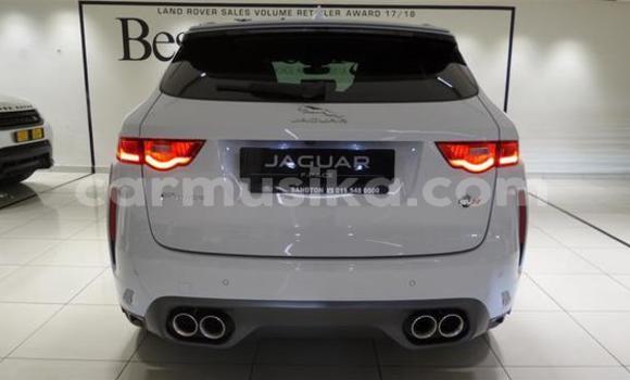 Acheter Occasion Voiture Jaguar F-Pace Gris à Beitbridge, Matabeleland South Acheter Occasion Voiture Jaguar F-Pace Gris à Beitbridge, Matabeleland South