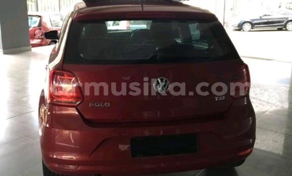 Buy Used Volkswagen Polo Red Car in Beitbridge in Matabeleland South Buy Used Volkswagen Polo Red Car in Beitbridge in Matabeleland South