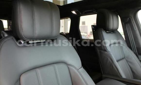 Buy Used Land Rover Range Rover Evoque White Car in Beitbridge in Matabeleland South Buy Used Land Rover Range Rover Evoque White Car in Beitbridge in Matabeleland South