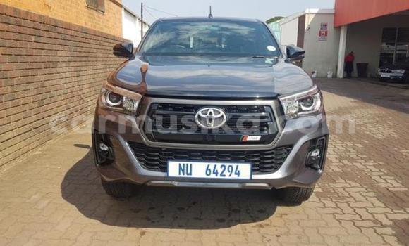 Tenga Tsaru Toyota Hilux Nhema Mota in Beitbridge in Matabeleland South Tenga Tsaru Toyota Hilux Nhema Mota in Beitbridge in Matabeleland South