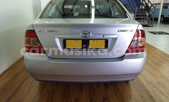 Acheter Occasion Voiture Toyota Corolla Autre à Beitbridge, Matabeleland South Acheter Occasion Voiture Toyota Corolla Autre à Beitbridge, Matabeleland South