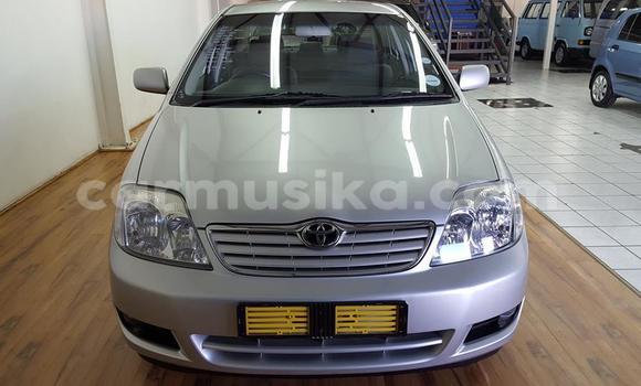Acheter Occasion Voiture Toyota Corolla Autre à Beitbridge, Matabeleland South Acheter Occasion Voiture Toyota Corolla Autre à Beitbridge, Matabeleland South