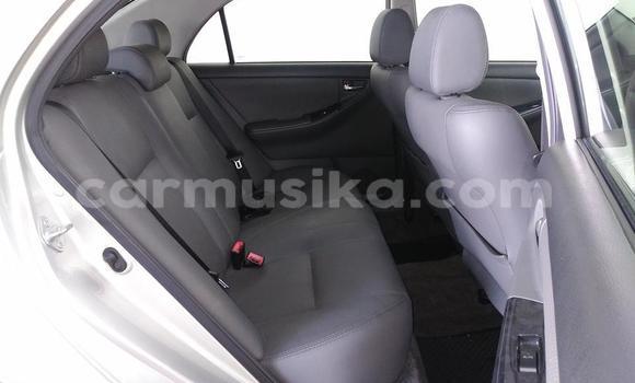 Acheter Occasion Voiture Toyota Corolla Autre à Beitbridge, Matabeleland South Acheter Occasion Voiture Toyota Corolla Autre à Beitbridge, Matabeleland South