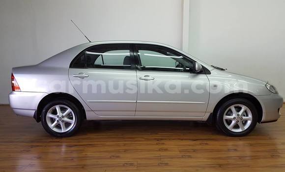 Acheter Occasion Voiture Toyota Corolla Autre à Beitbridge, Matabeleland South Acheter Occasion Voiture Toyota Corolla Autre à Beitbridge, Matabeleland South